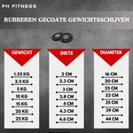 Premium Halterschijven - PH Fitness